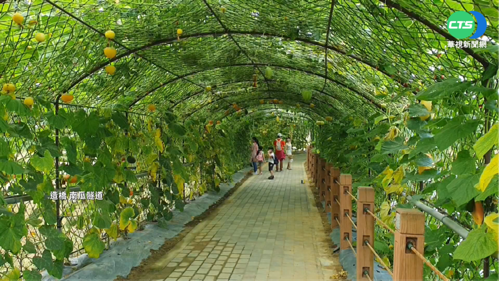 入冬首度低溫特報 苗栗造橋僅6.6度