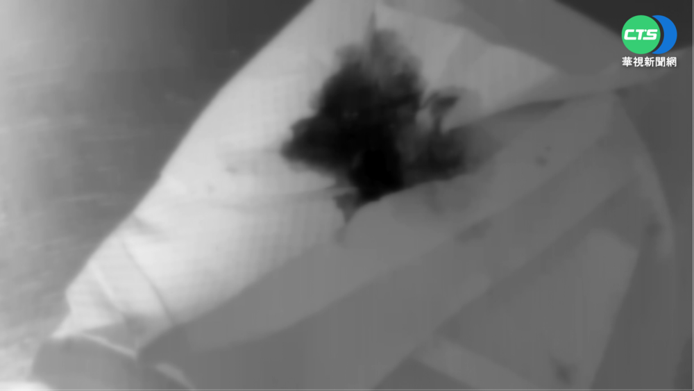 長榮工會請命 避免機師入境"戳鼻孔"