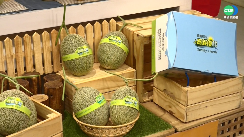 "瓜界愛馬仕"極光哈密瓜開賣 1顆800元!