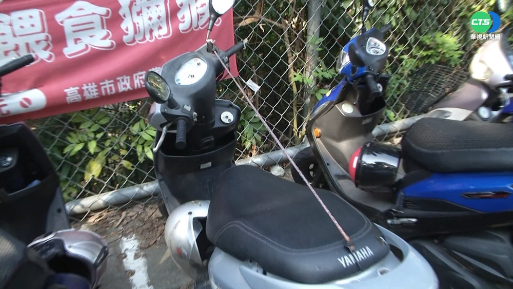 柴山奇景"機車插長樹枝" 防猴咬椅墊