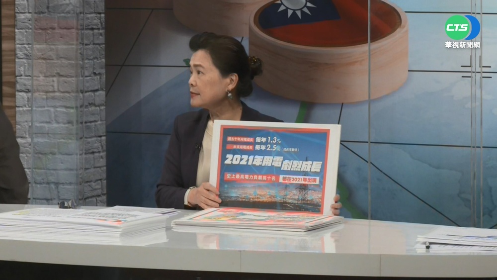 王美花接受華視專訪 再次重申公投議題