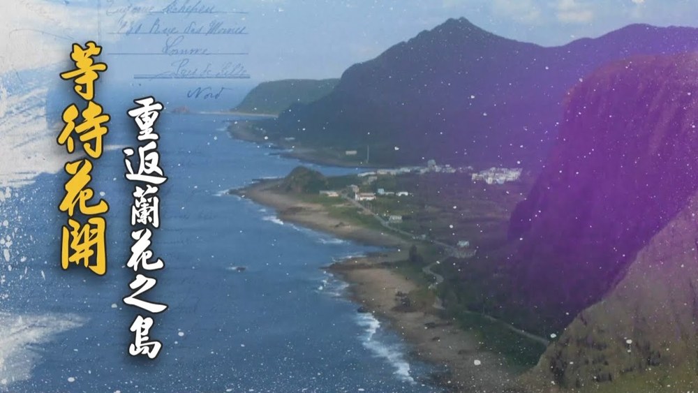 等待花開 重返蘭花之島｜搶救原生種｜華視新聞雜誌