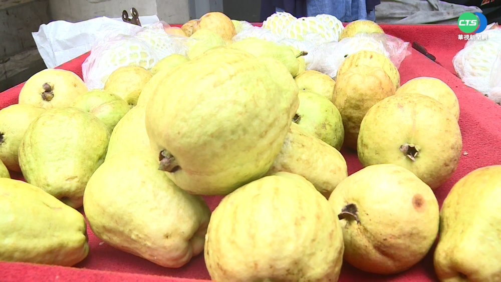創5年新高! 芭樂批發價每公斤飆破57元