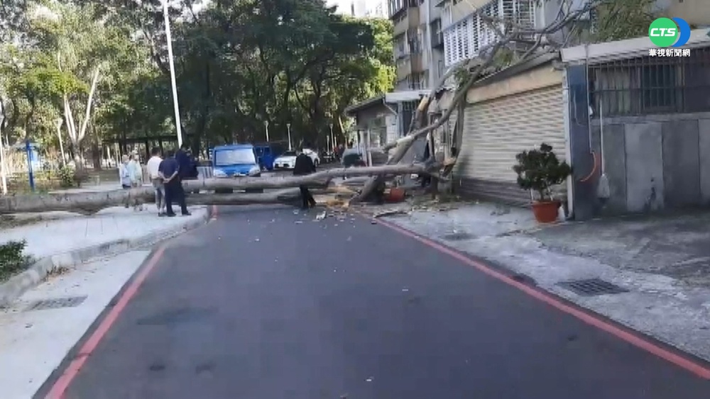 路樹砸民宅! 鐵皮屋頂凹陷宛如被炸