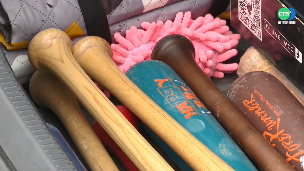 "載球棒就註記" 民眾諷:組職棒隊伍嗎