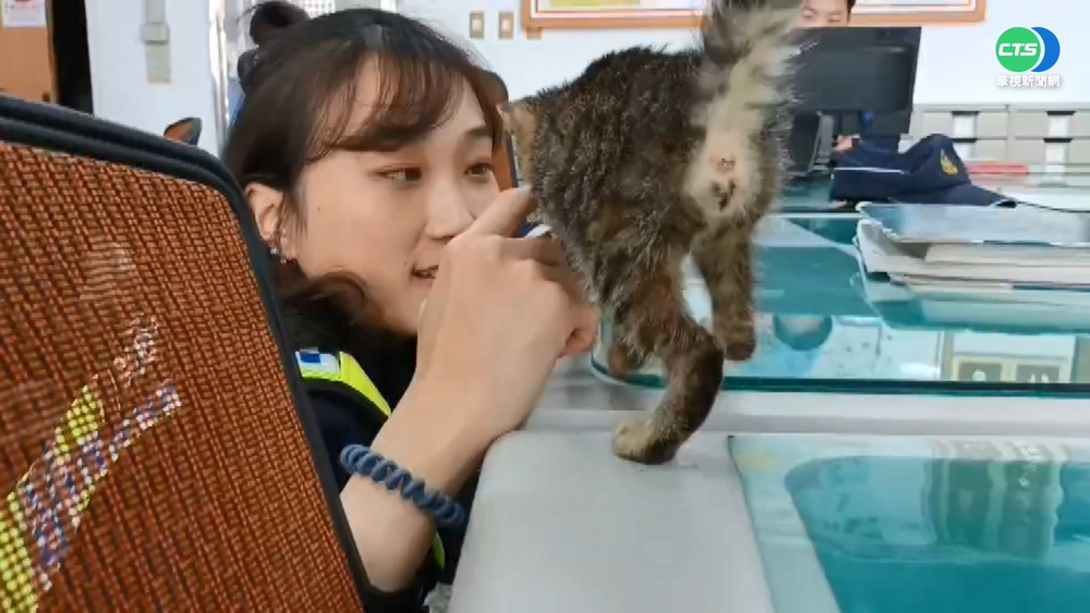 正妹女警抱浪貓找認養 網歪樓:哪臨檢