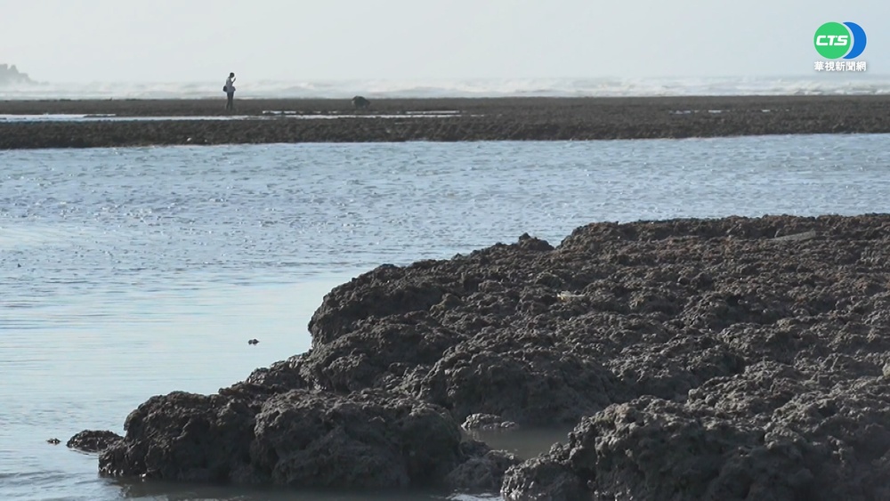 總統明赴桃園視察 府方:不會踩上藻礁