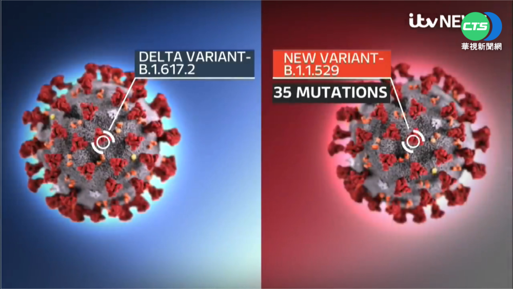 比Delta病毒更強! "最新病毒"南非現蹤
