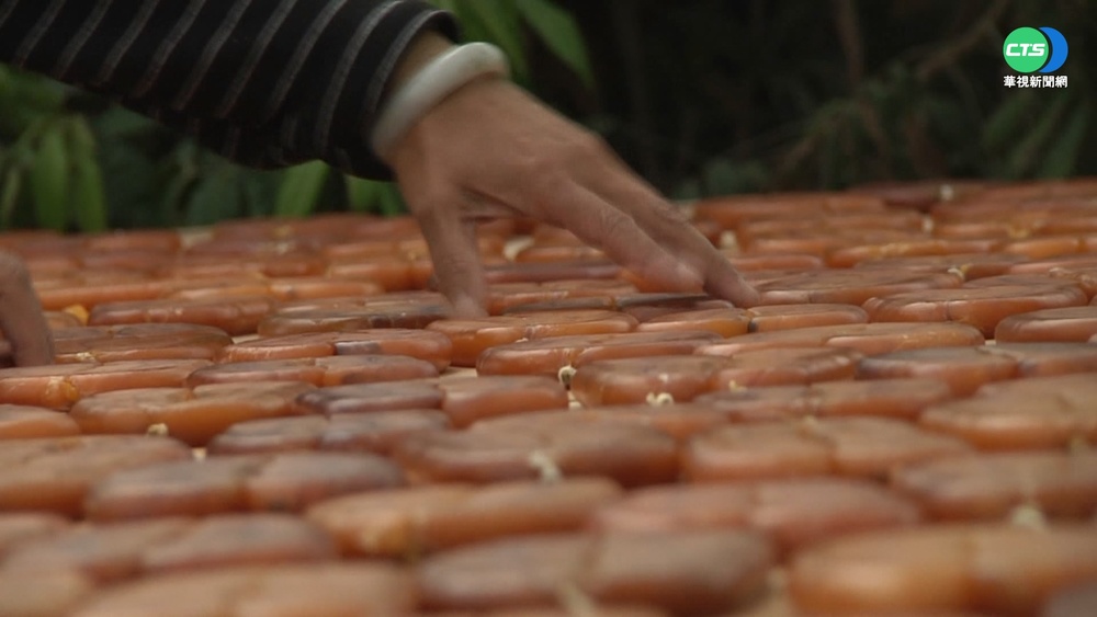 產量減!養殖成本增 烏魚子上市就漲3成