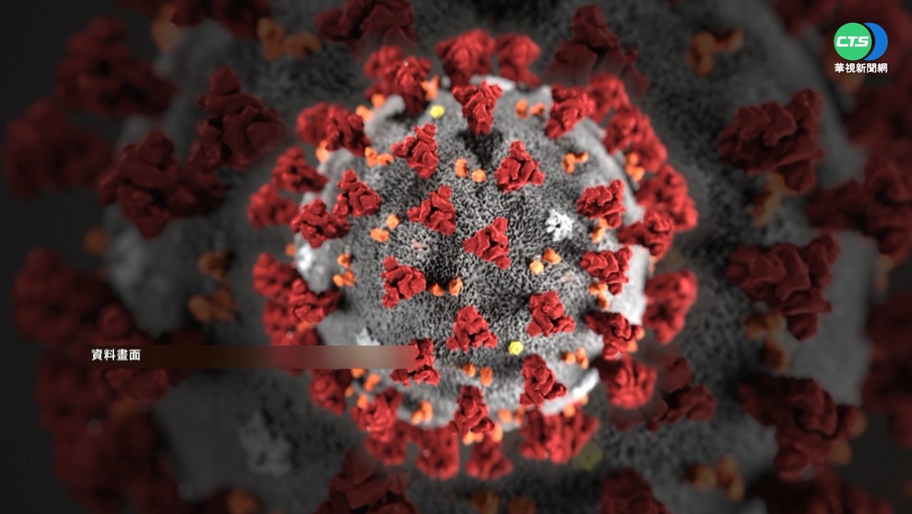 防堵新變種Omicron 6國入境集中檢疫