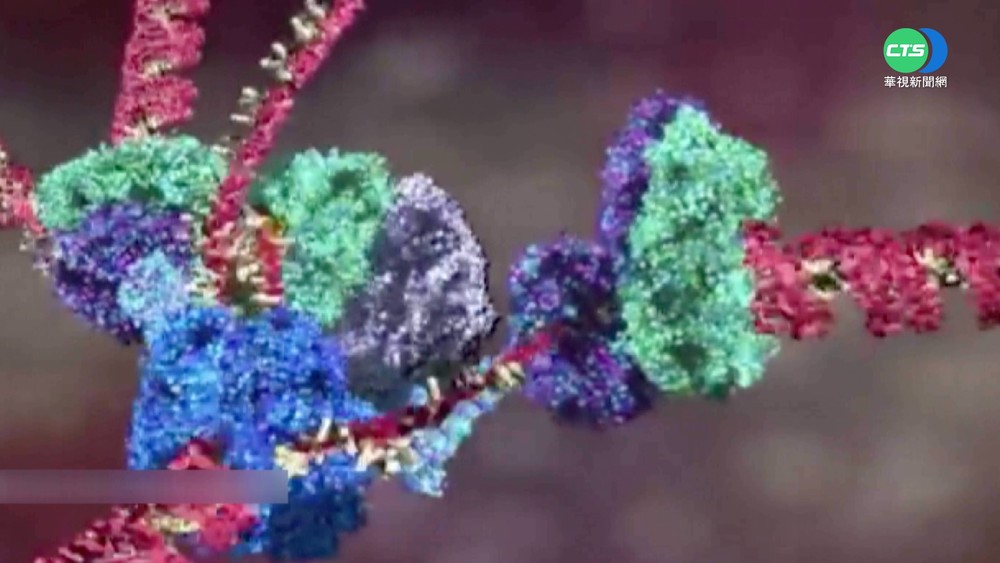 Omicron病毒強度更勝Delta！各國緊守邊境防堵