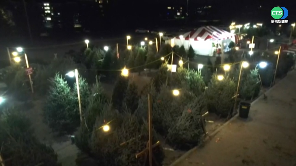 全球供應鏈卡關 美耶誕樹.食品價上漲