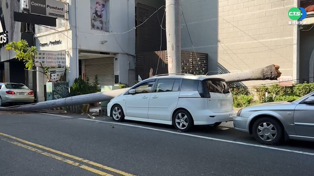 彰化吹6級風 20公尺椰子樹連根斷砸車