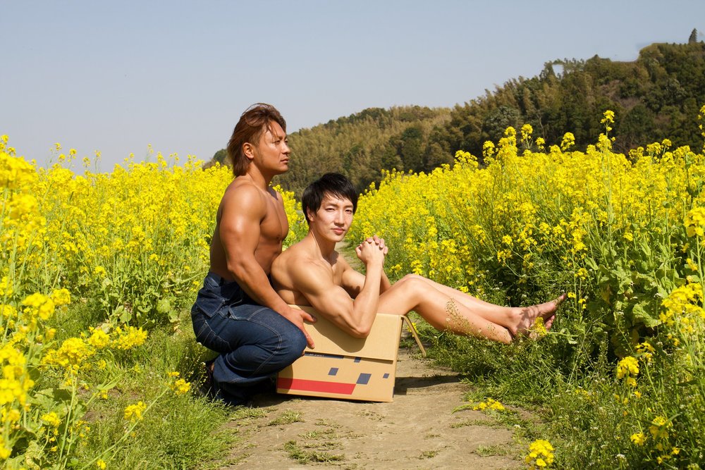 日本「巨巨圖庫」隨你用！ 謎樣主題民眾直呼：要用在哪？