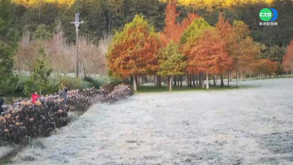 零下2度低溫 武陵農場結霜如童話世界