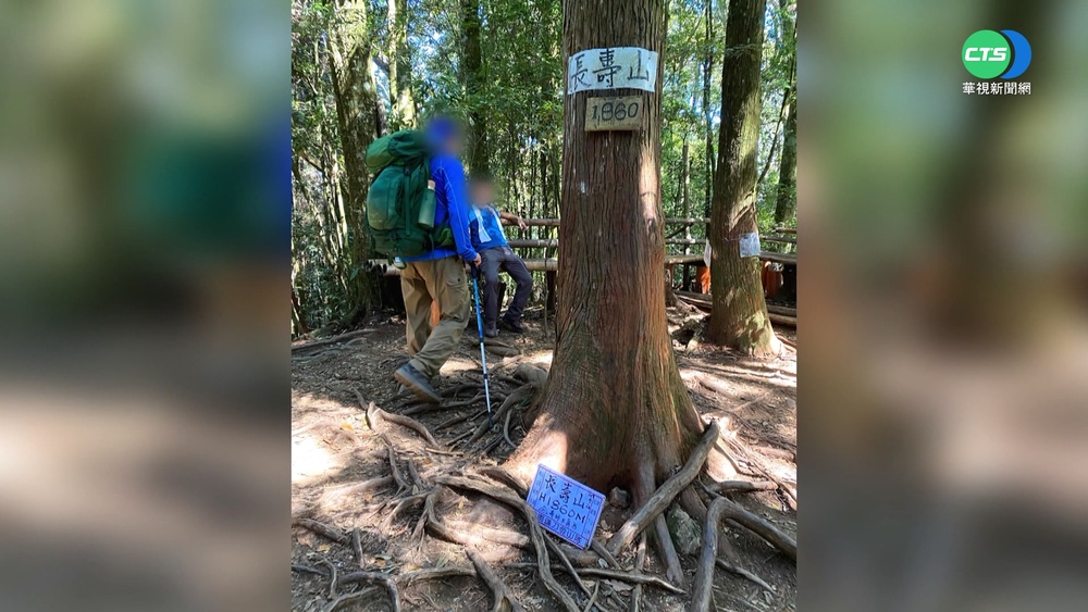 41人爬鳶嘴山遭虎頭蜂攻擊 11人送醫
