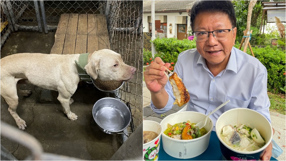 比特犬咬死3歲童 潘孟安131字回應求情