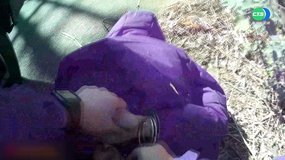 佯裝車主闖保養廠開走車 女嫌拒捕遭壓制