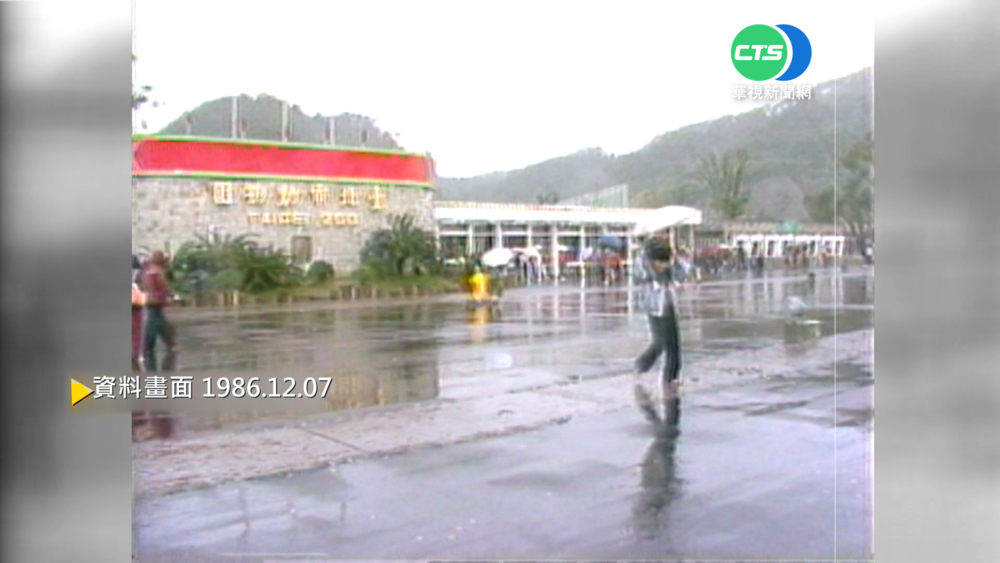 【歷史上的今天】木柵動物園正式營運 民眾冒雨參觀