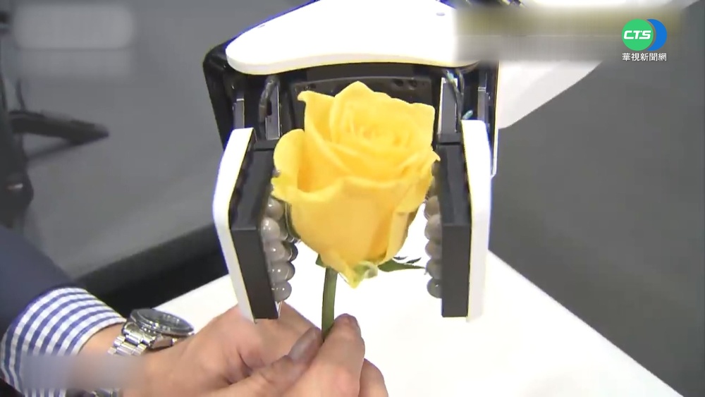 獨步全球! 日機器人手細膩夾蛋不會破