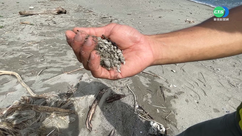 "火山浮石"滿布東岸! 魚群誤食影響生態