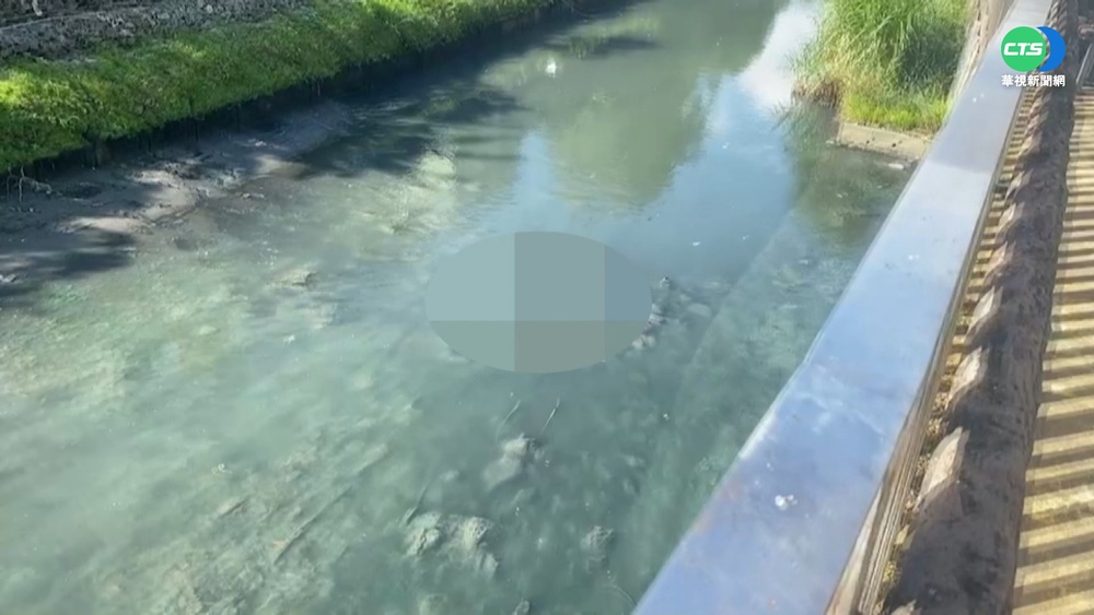 只剩身軀!永和保平路水溝驚見駭人浮屍