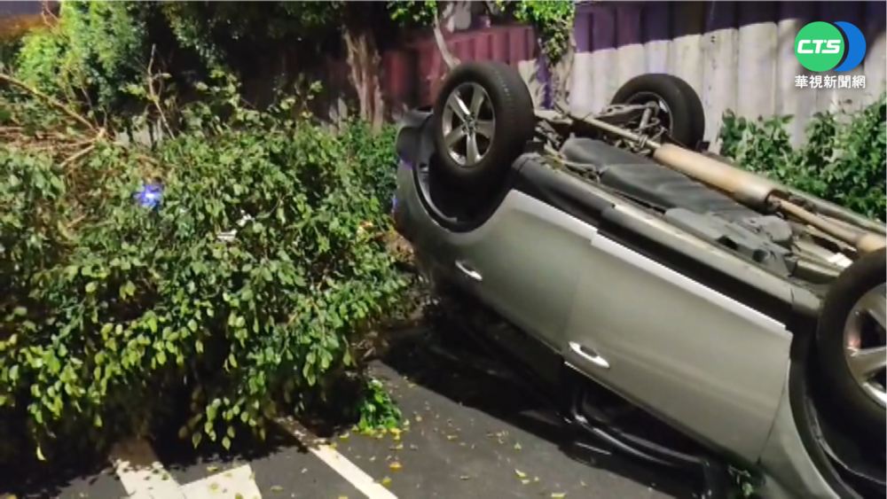 新手上路! 撞路樹翻車 男大生自行脫困