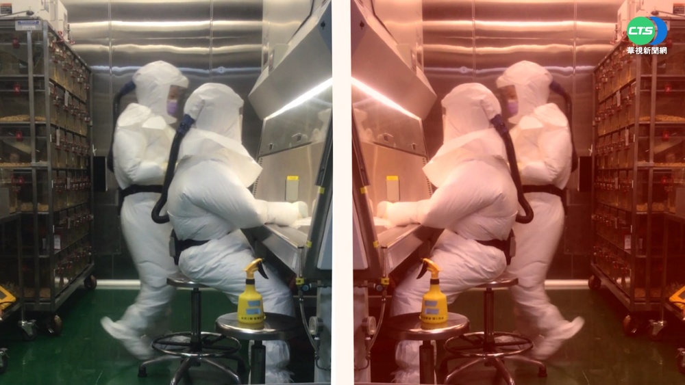 助理研究員確診! 感染源疑來自P3實驗室