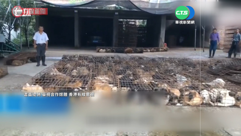 四川業者"掛羊頭賣狗肉" 還報復吹哨人