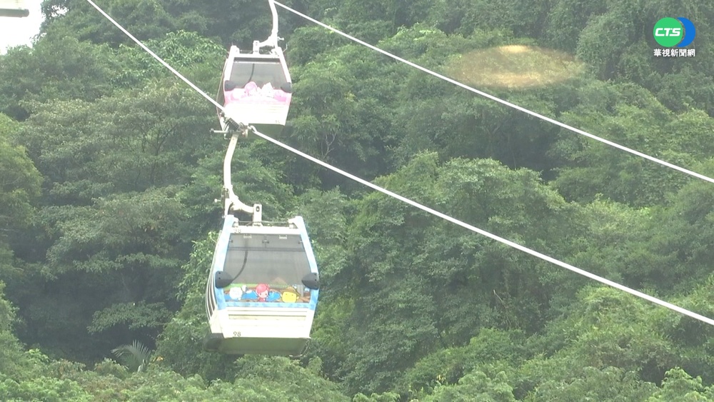 貓纜"換纜"重新啟動! 推"跨年車廂"搶客