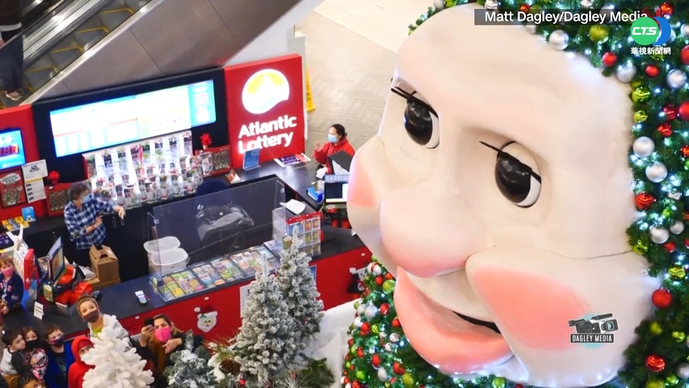 哪棵最吸睛! 各國民眾奇招妝點耶誕樹