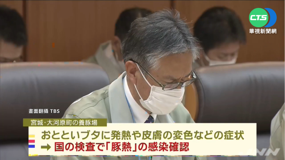 日本宮城縣爆豬瘟 撲殺近1萬2千頭豬