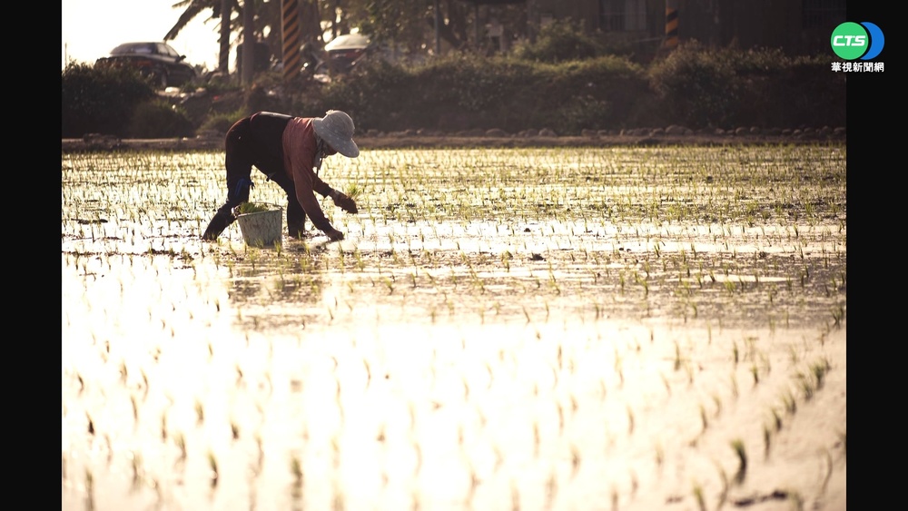 小農斜槓攝影師! 黃名毅紀錄農村點滴