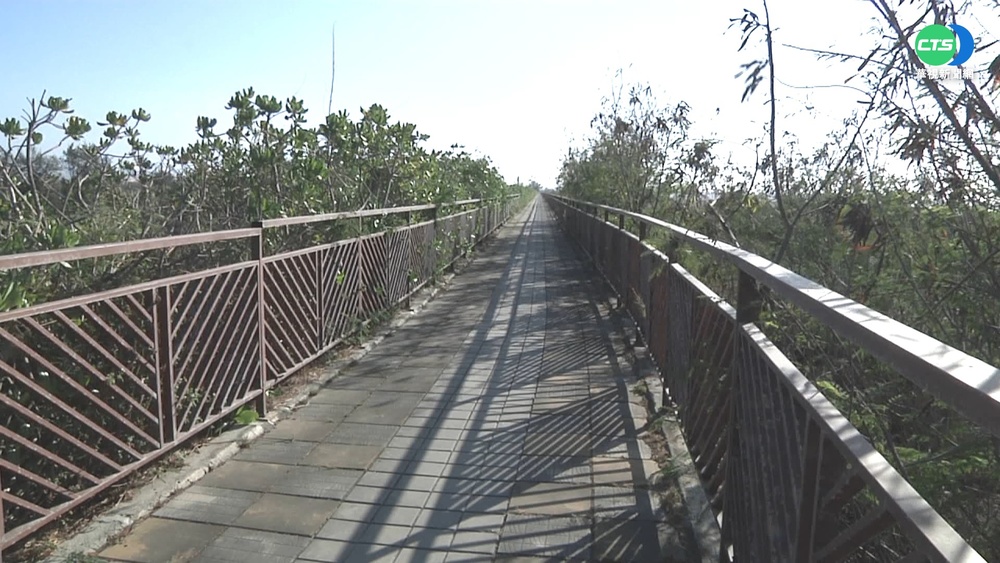 玩命上路?! 高美濕地自行車道欄杆破損