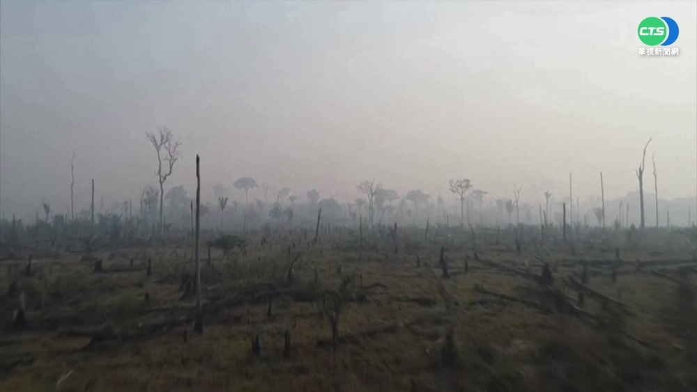 巴西打擊非法 違法砍伐較去年同期少12%