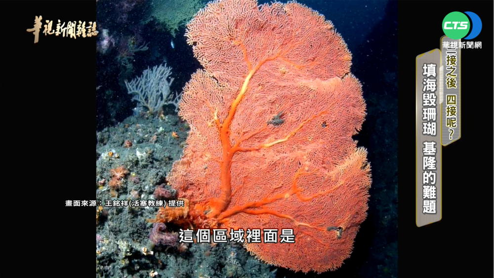 發電.保育兩難全? 台電找尋替代方案