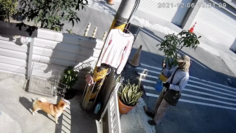 高雄「虐狗變態」出沒！飼主怒PO影片揭詭異行徑
