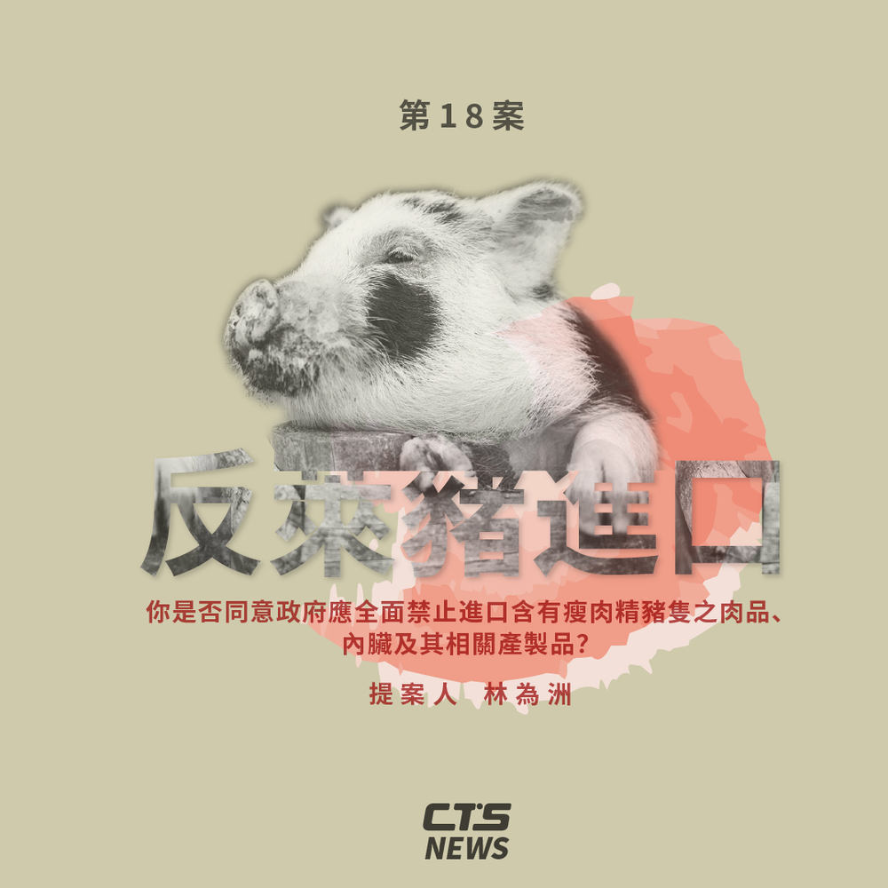 反萊豬進口公投懶人包。（設計／陳立寬）