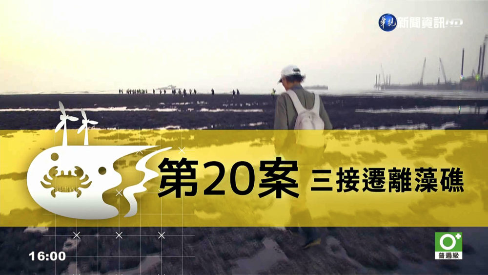 三接遷離藻礁公投未過！不同意416萬票、同意390萬票