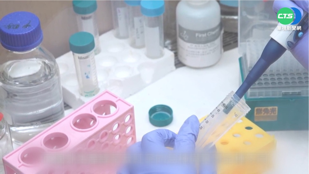 冬茶賽驗DNA! 揪41件境外茶"全銷毀"