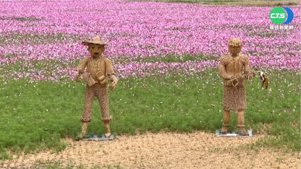 體驗雲林農村之美! "稻草迷宮"湧遊客
