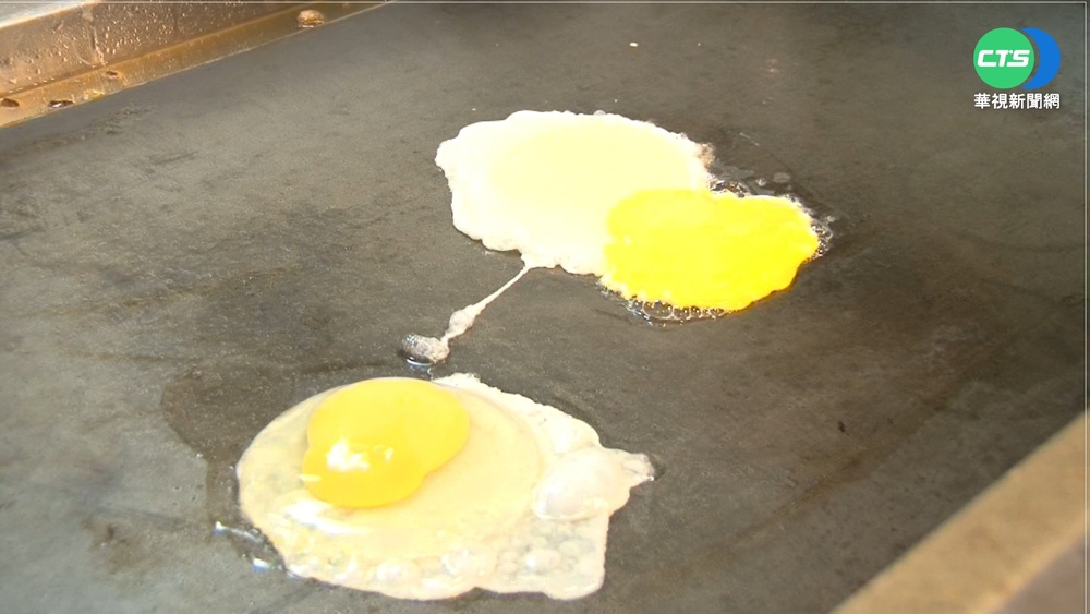 飼料價格波動+天氣冷 蛋雞產量少一半