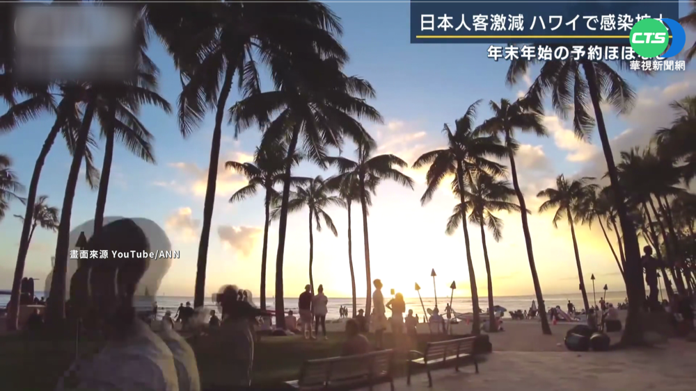 疫情燒全球 夏威夷觀光業者苦哈哈