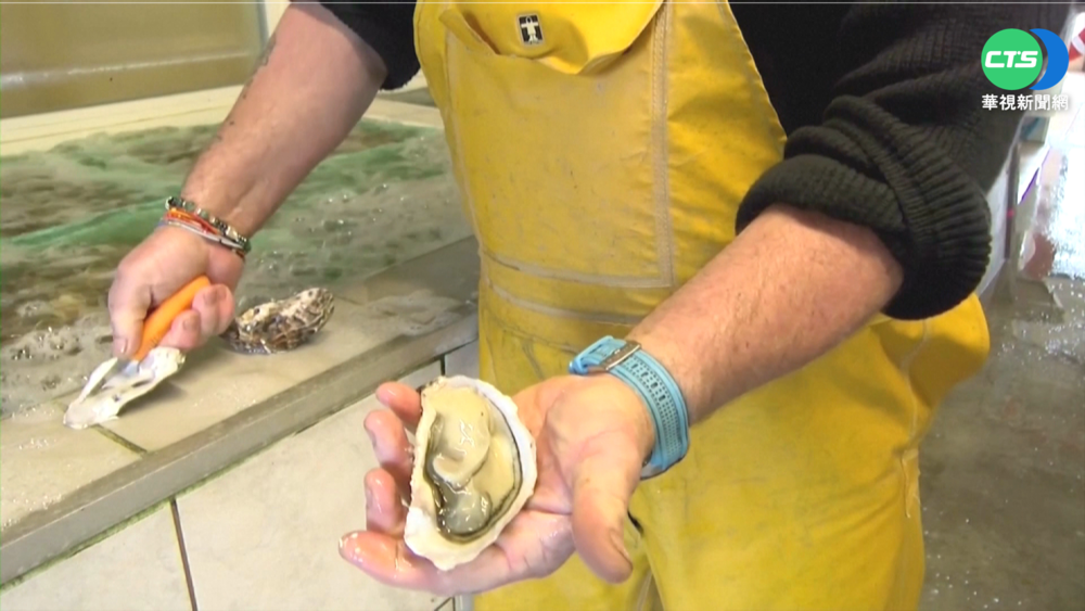 生蠔獲利大引賊 法業者"小紙條"妙招回擊