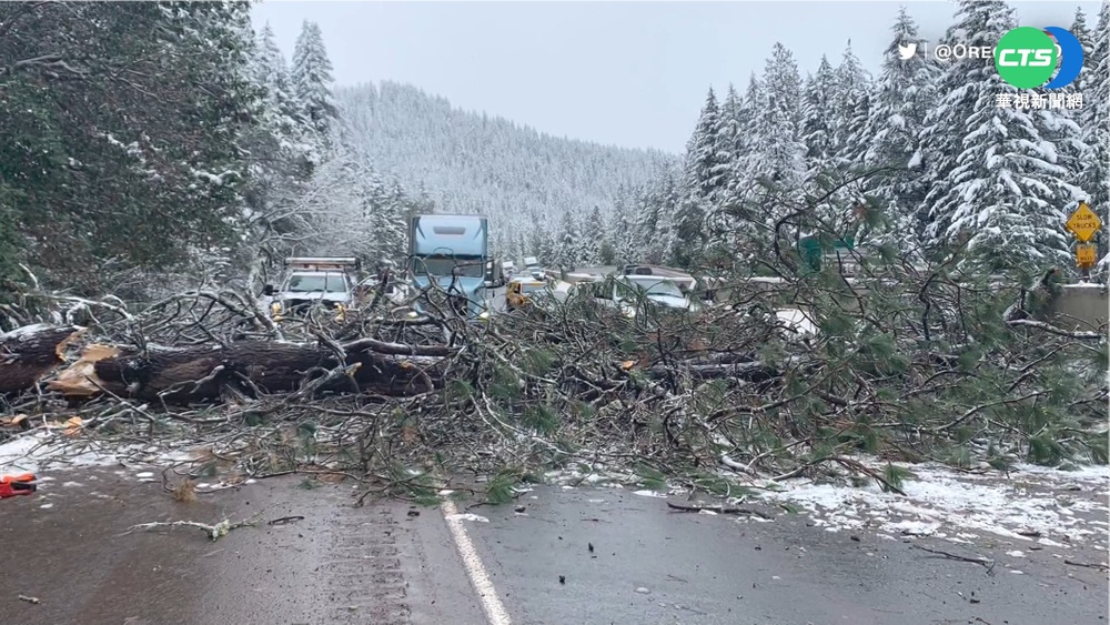 美西岸暴雪! 西雅圖15公分積雪創紀錄
