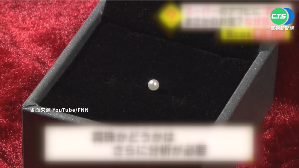 新年大禮? 日女超市買鮑魚疑獲珍珠