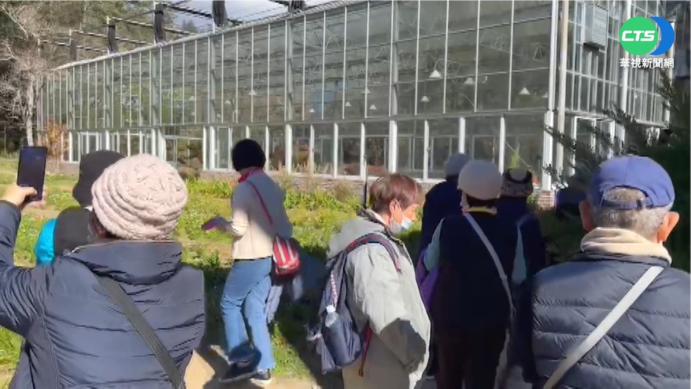 山林跨年熱區!武陵農場湧百車千遊客