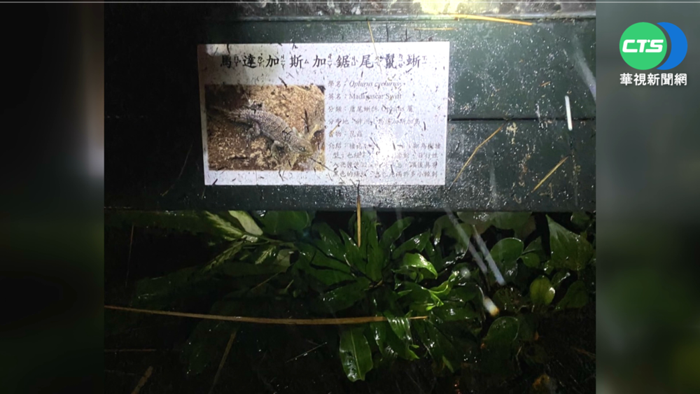 新竹北埔綠世界傳火災 3蜥蜴火焚慘死