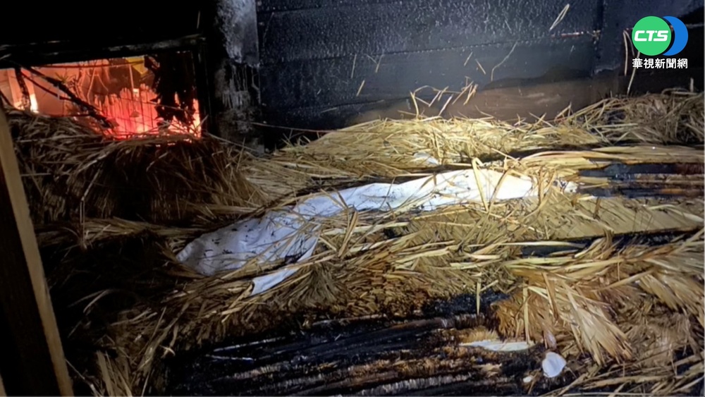 綠世界凌晨惡火 3隻蜥蜴命喪火窟