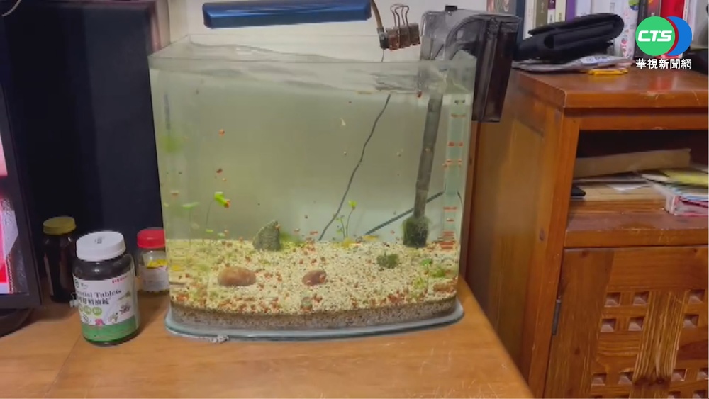 地牛翻身! 17:46花蓮6.0強震 宜.雙北震度4級